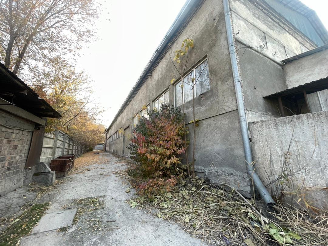 Продажа, Участок, 63 соток - фото 4