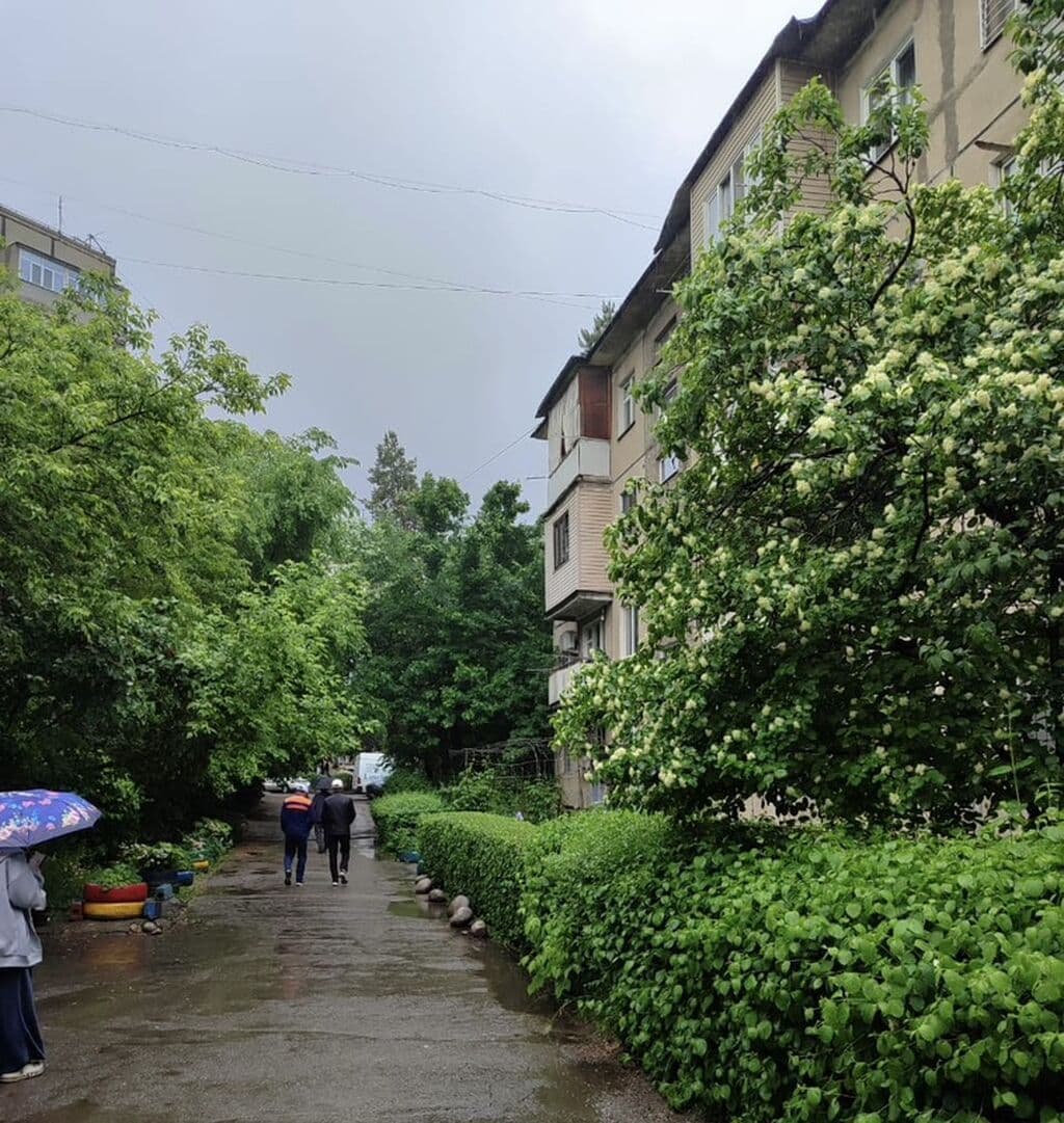 2 ком, 104 серия, 44 м2, этаж 2/4, Сост: Среднее - фото 2