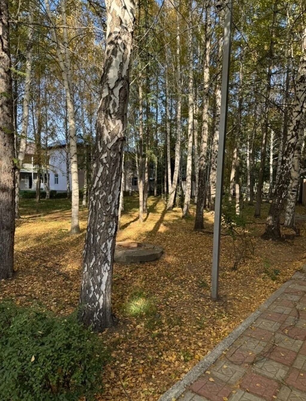 Готовый Бизнес, Коммерческая, 2000 м2, Сост: Евроремонт - фото 4