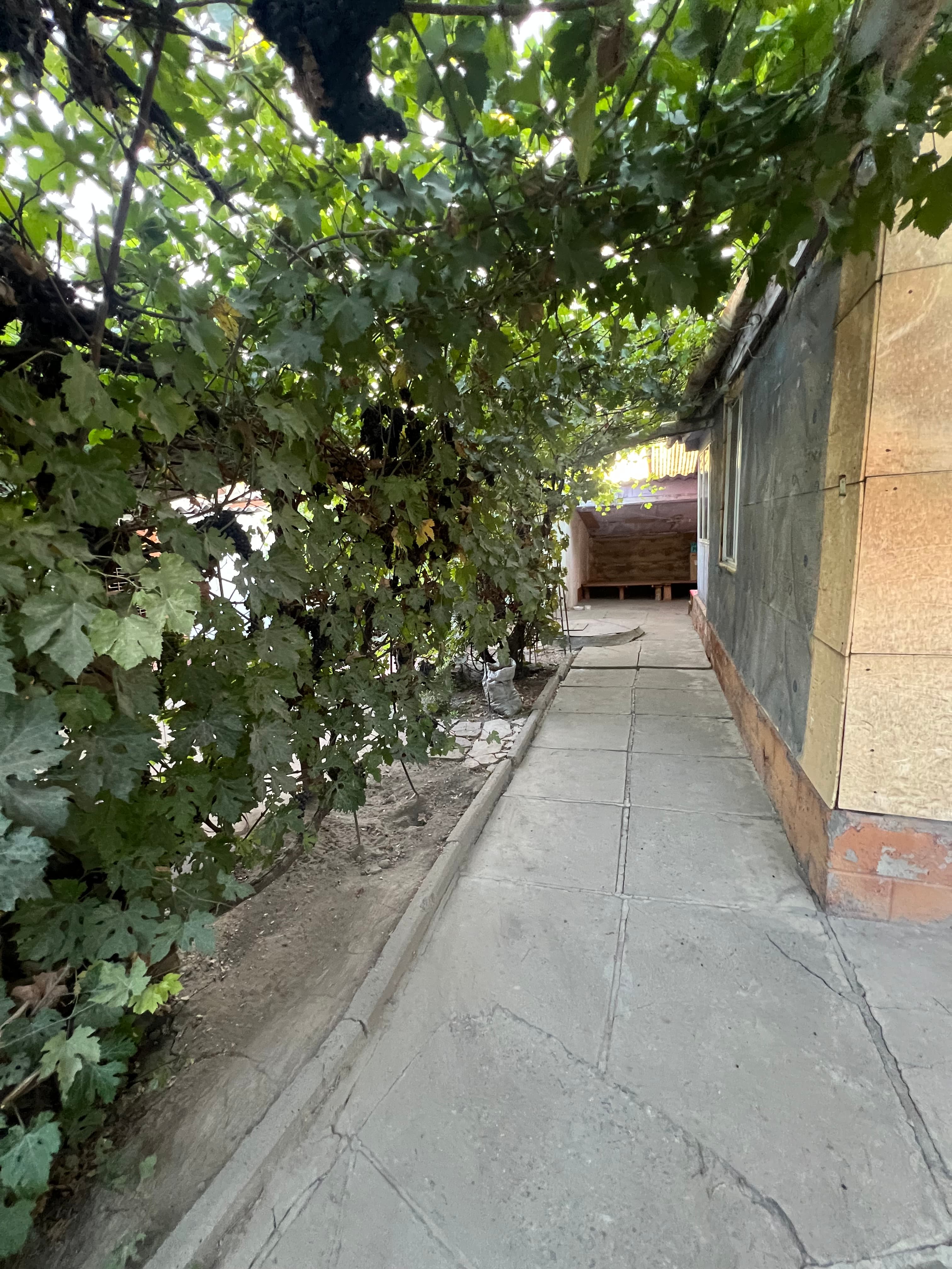 Участок - фото 11