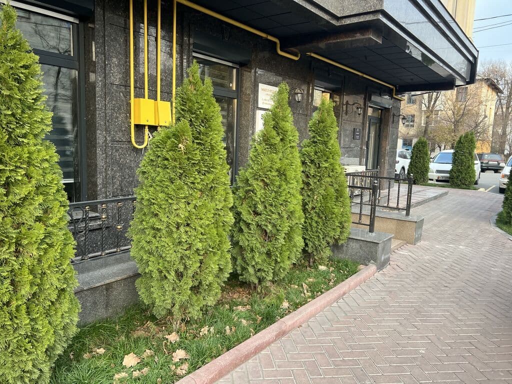 Цокольный этаж, Коммерческая, 31 м2, этаж 0/12, Сост: Евроремонт - фото 2