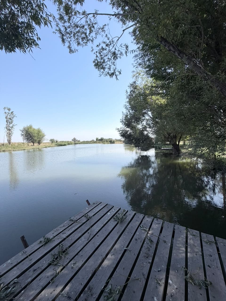 Земельные участки, Коммерческая, 25000 м2 - фото 1