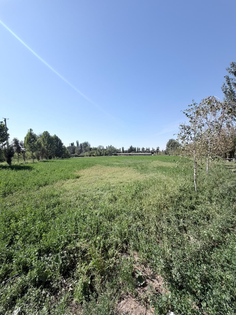 Земельные участки, Коммерческая, 25000 м2 - фото 3