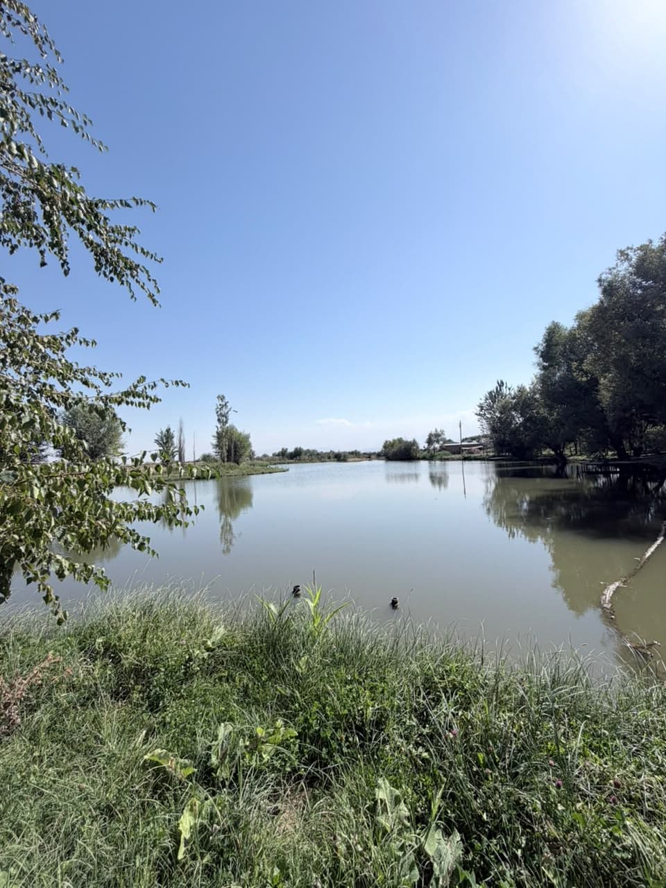 Земельные участки, Коммерческая, 25000 м2 - фото 5