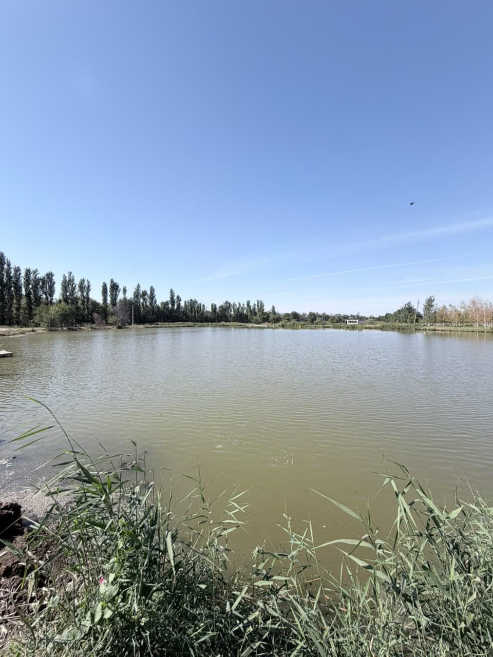 Земельные участки, Коммерческая, 25000 м2 - фото 7