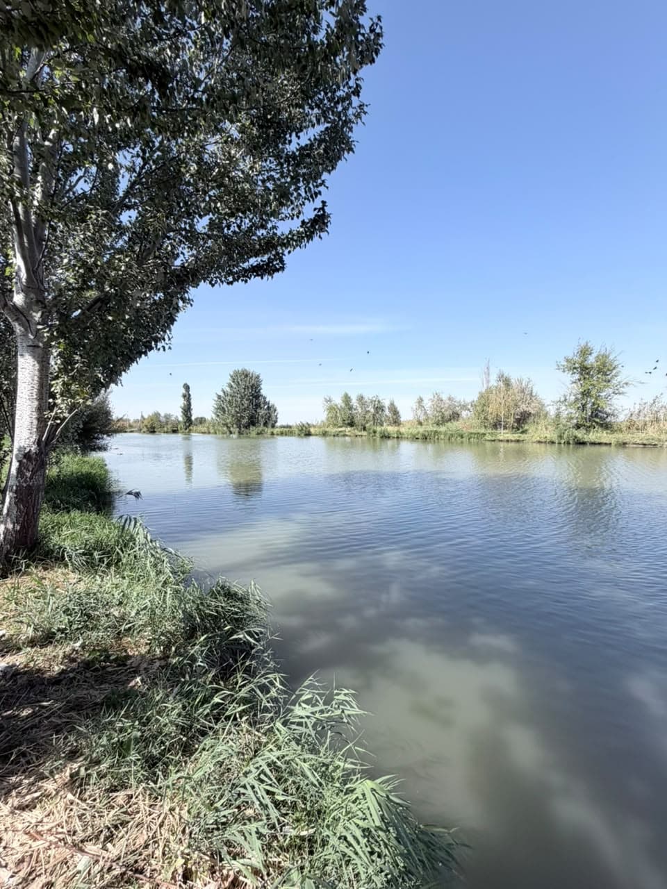 Земельные участки, Коммерческая, 25000 м2 - фото 12