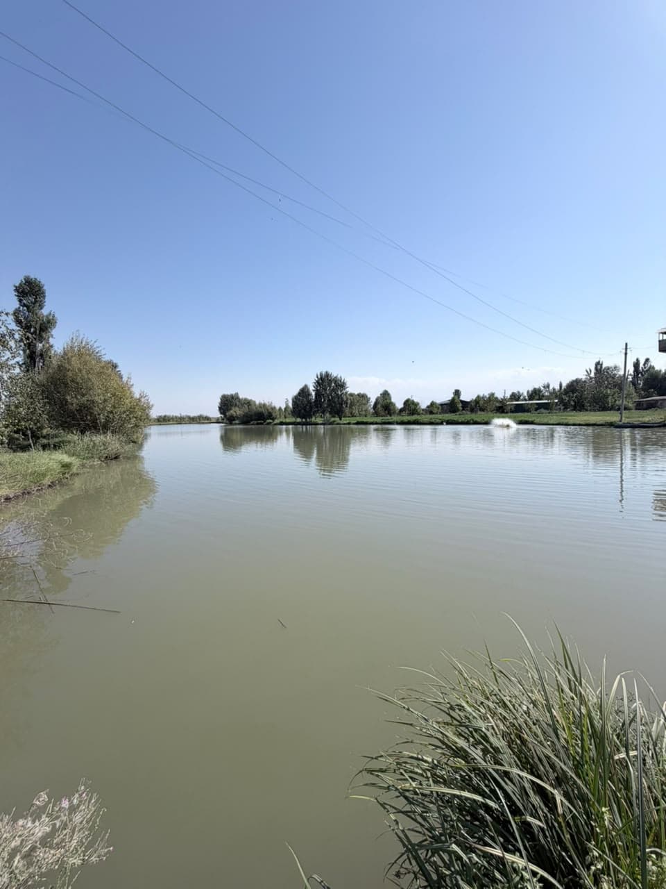 Земельные участки, Коммерческая, 25000 м2 - фото 15