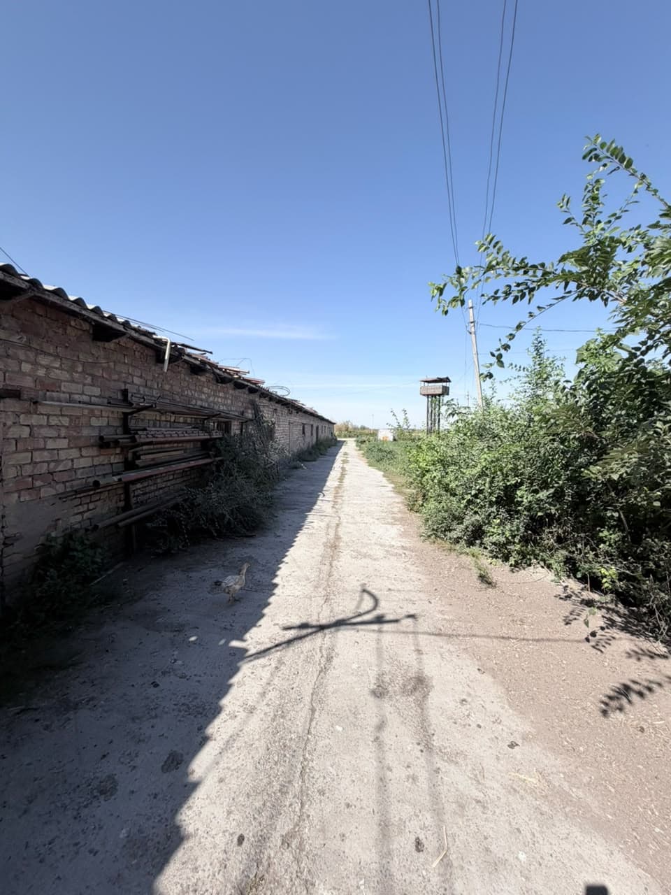 Земельные участки, Коммерческая, 25000 м2 - фото 16