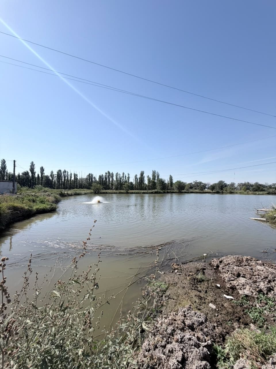 Земельные участки, Коммерческая, 25000 м2 - фото 17