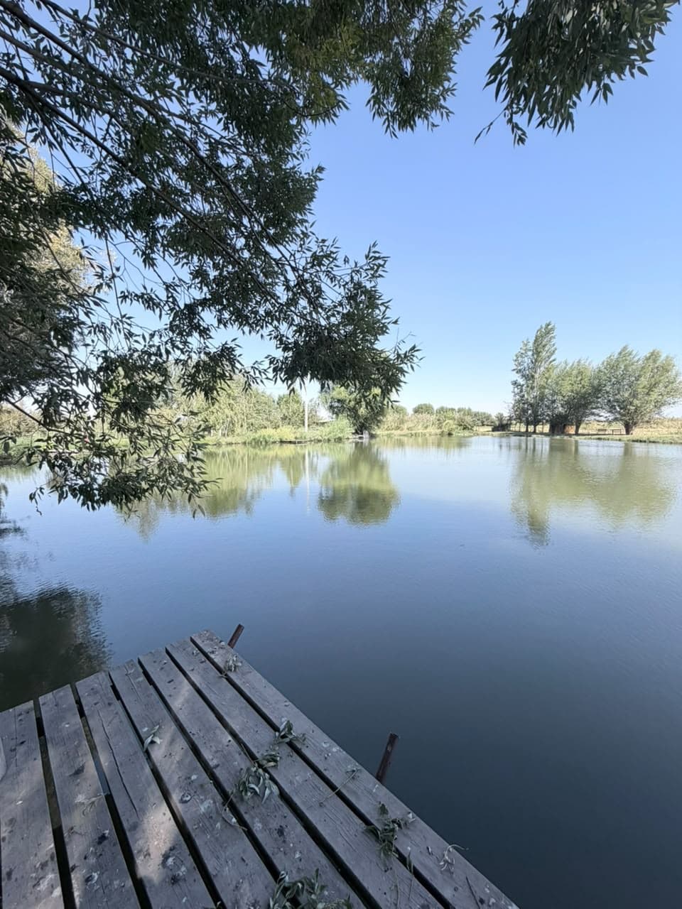 Земельные участки, Коммерческая, 25000 м2 - фото 19