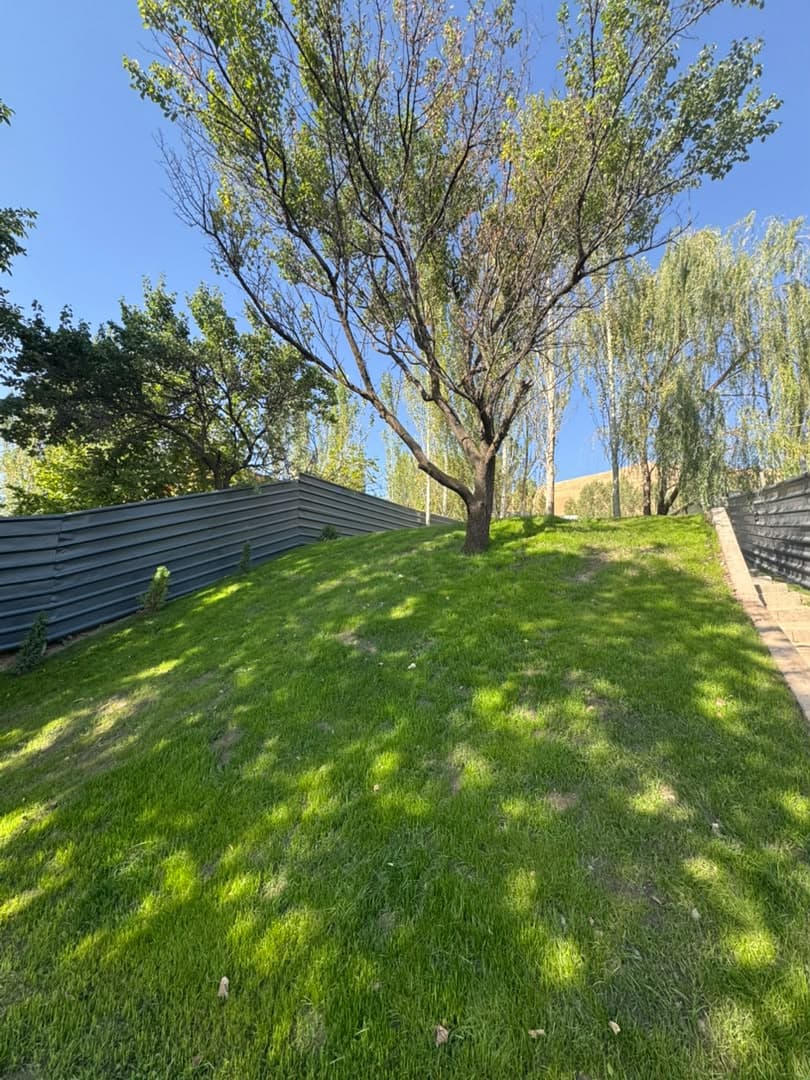 Property 98904 - Image 6