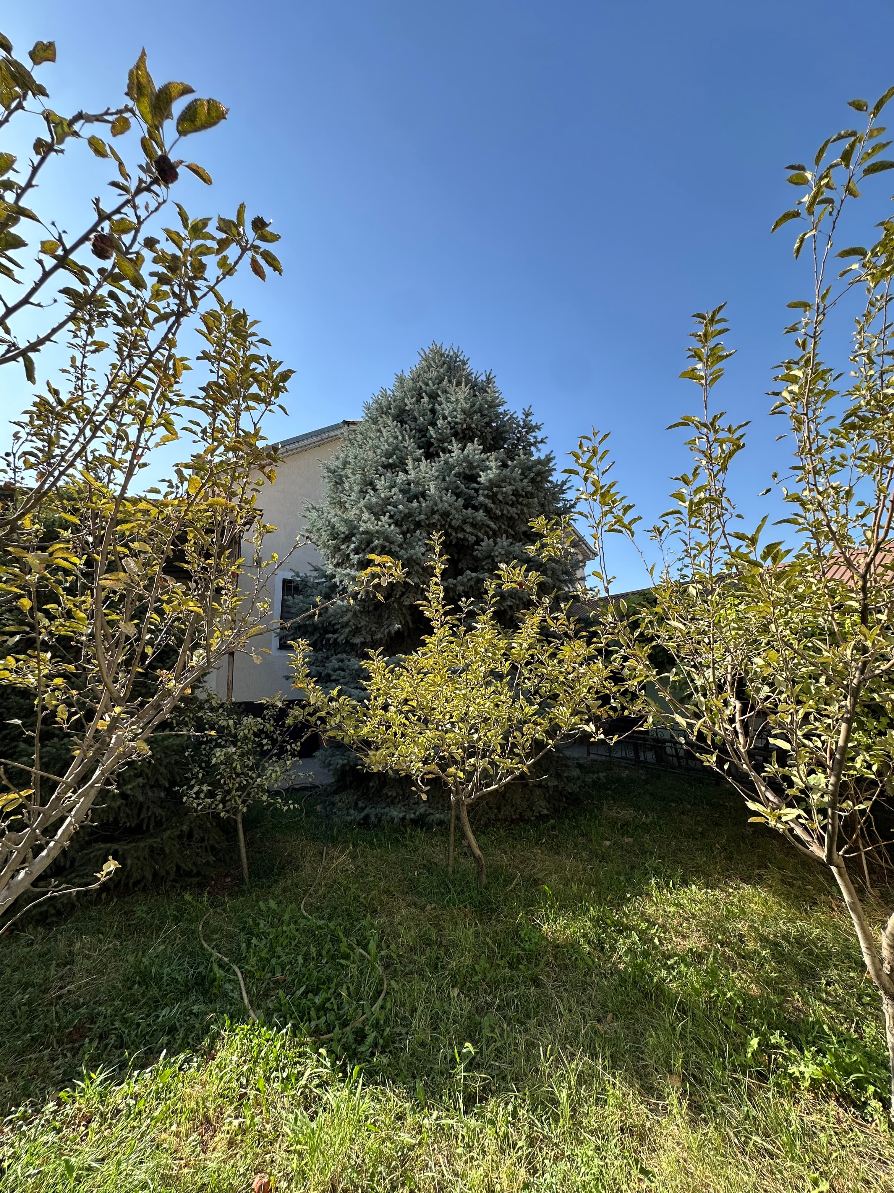 Property 99206 - Image 5