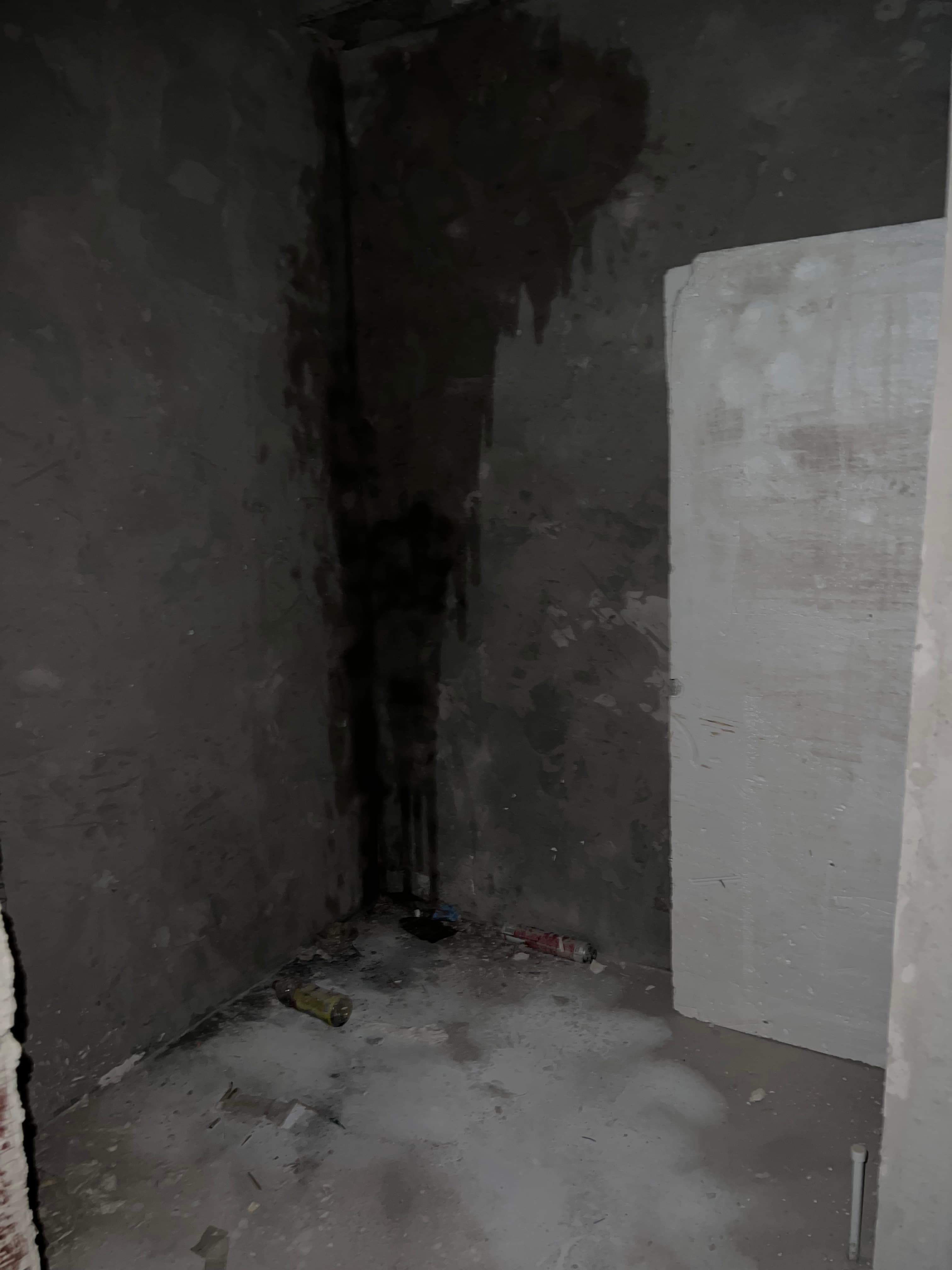 Элитка, 2 ком, 68 м2, этаж 9/16, ж/к Крейсер (Kreyser), Сост: Евроремонт - фото 3