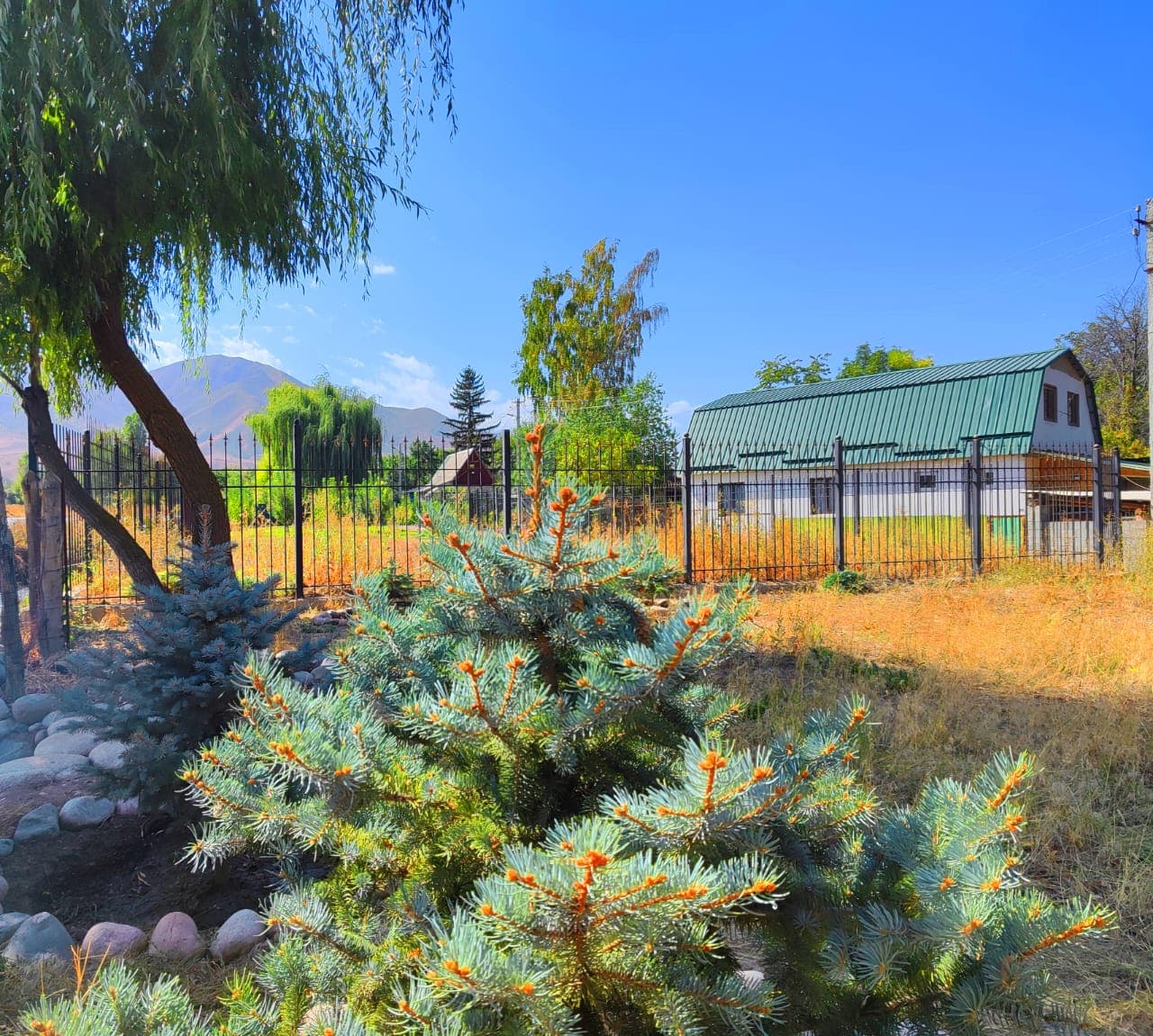 Property 99867 - Image 6