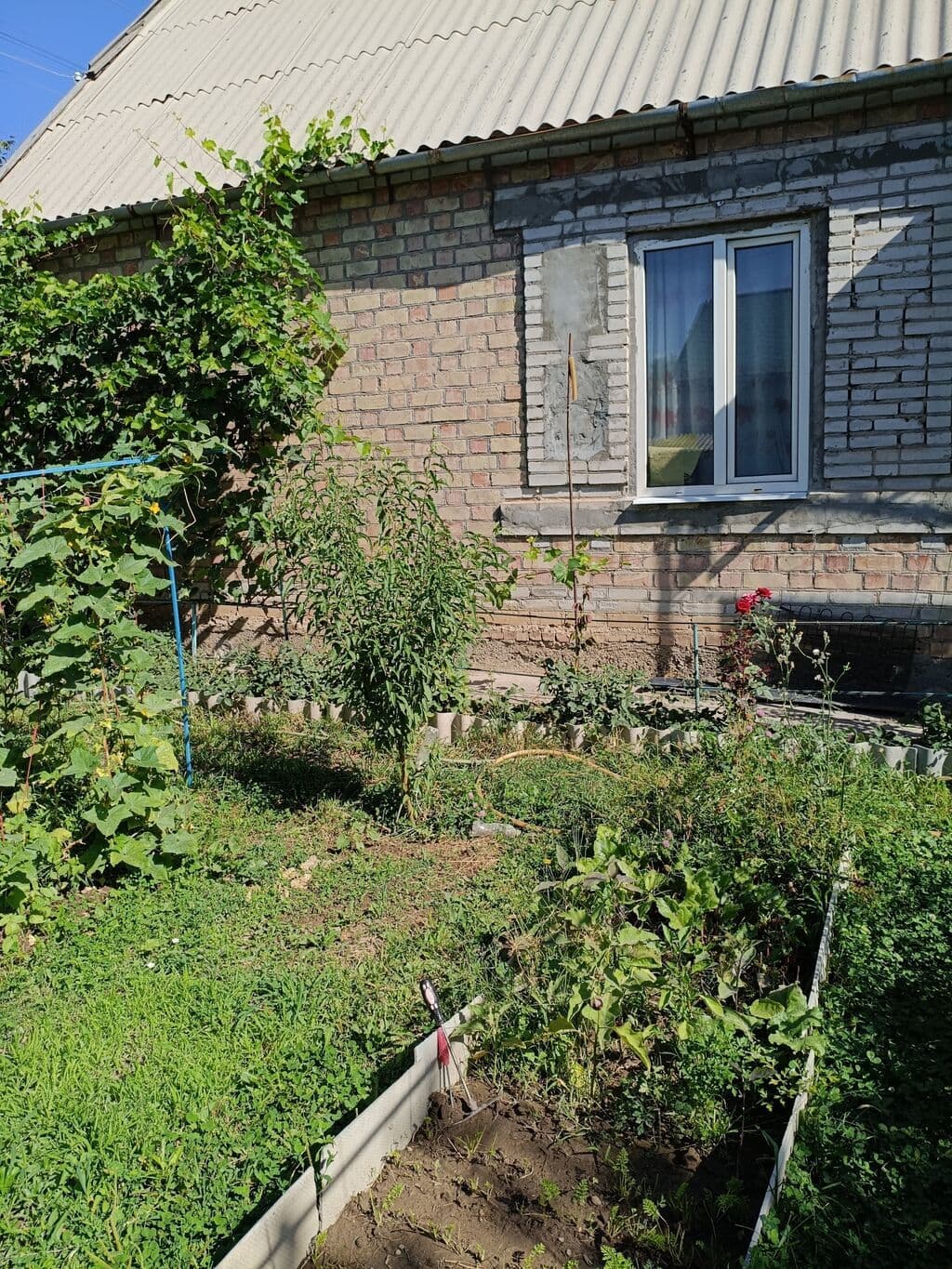 Property 100214 - Image 2