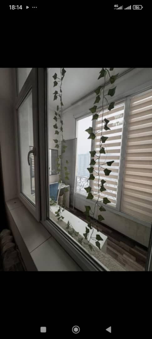 Property 100276 - Image 5