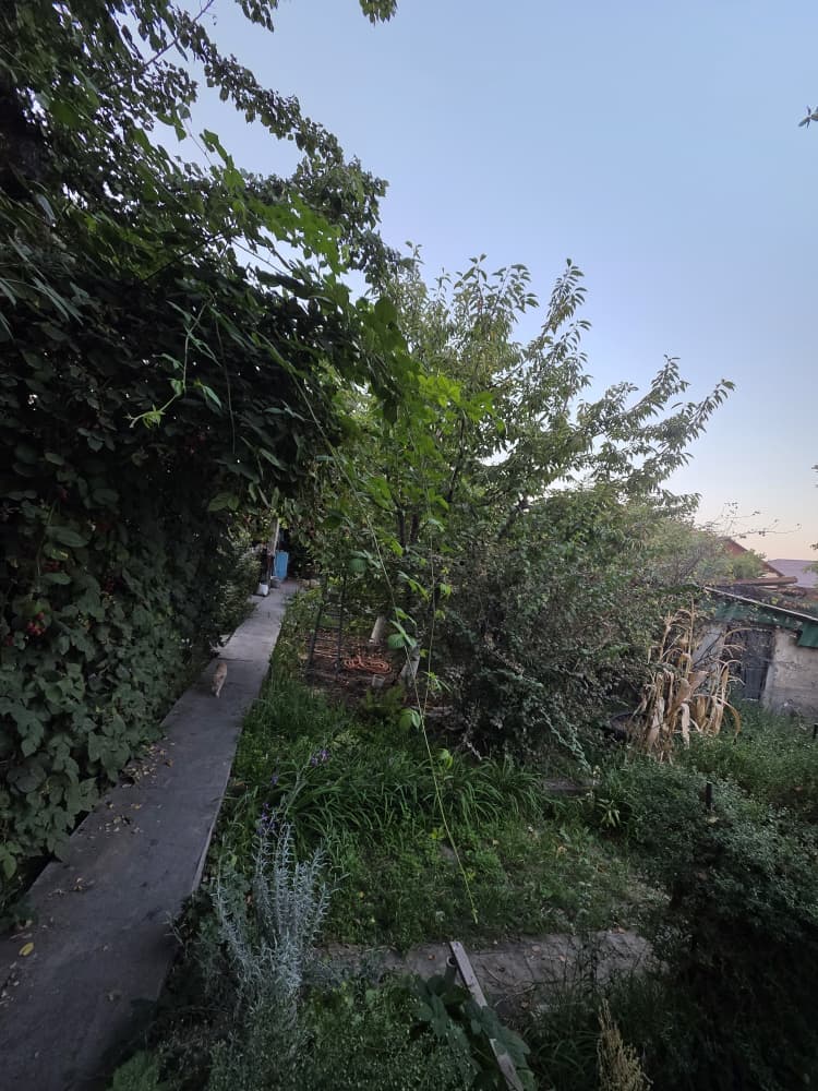 Property 100412 - Image 4