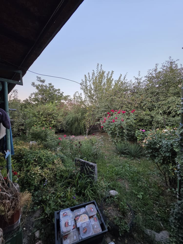 Property 100412 - Image 5