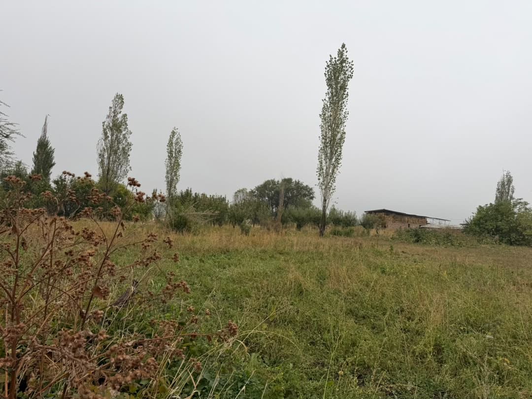 Property 100483 - Image 5