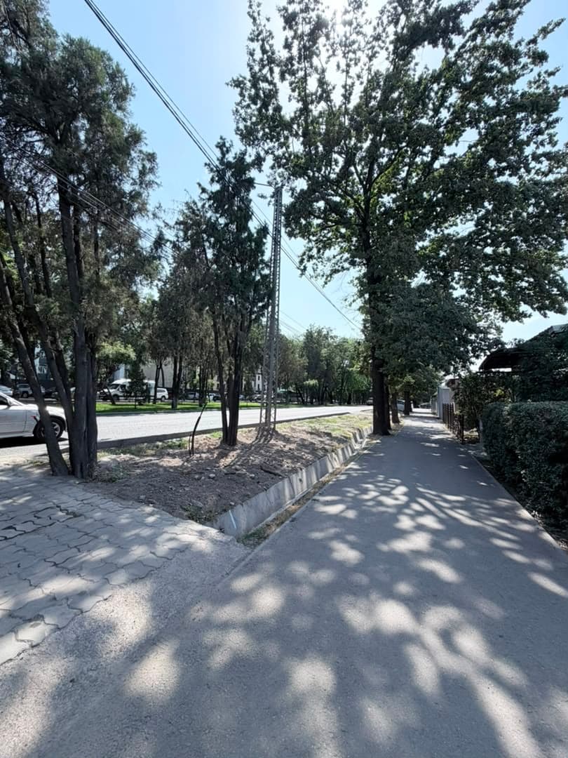 Property 100519 - Image 3