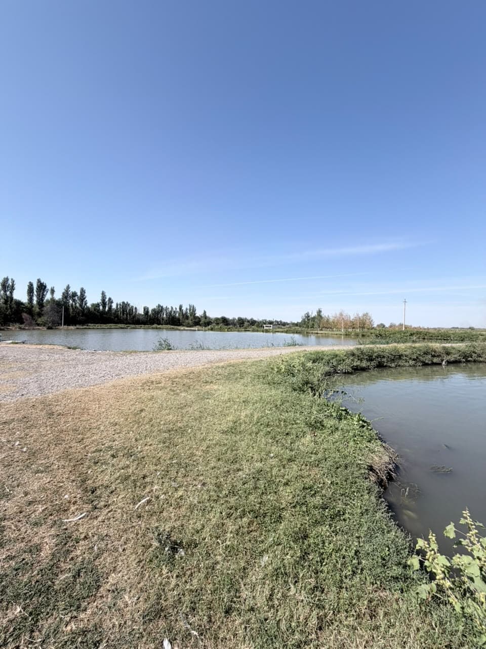 Земельные участки, Коммерческая, 2500 м2, этаж 1/1 - фото 9