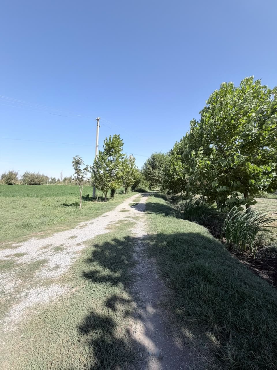 Земельные участки, Коммерческая, 2500 м2, этаж 1/1 - фото 18