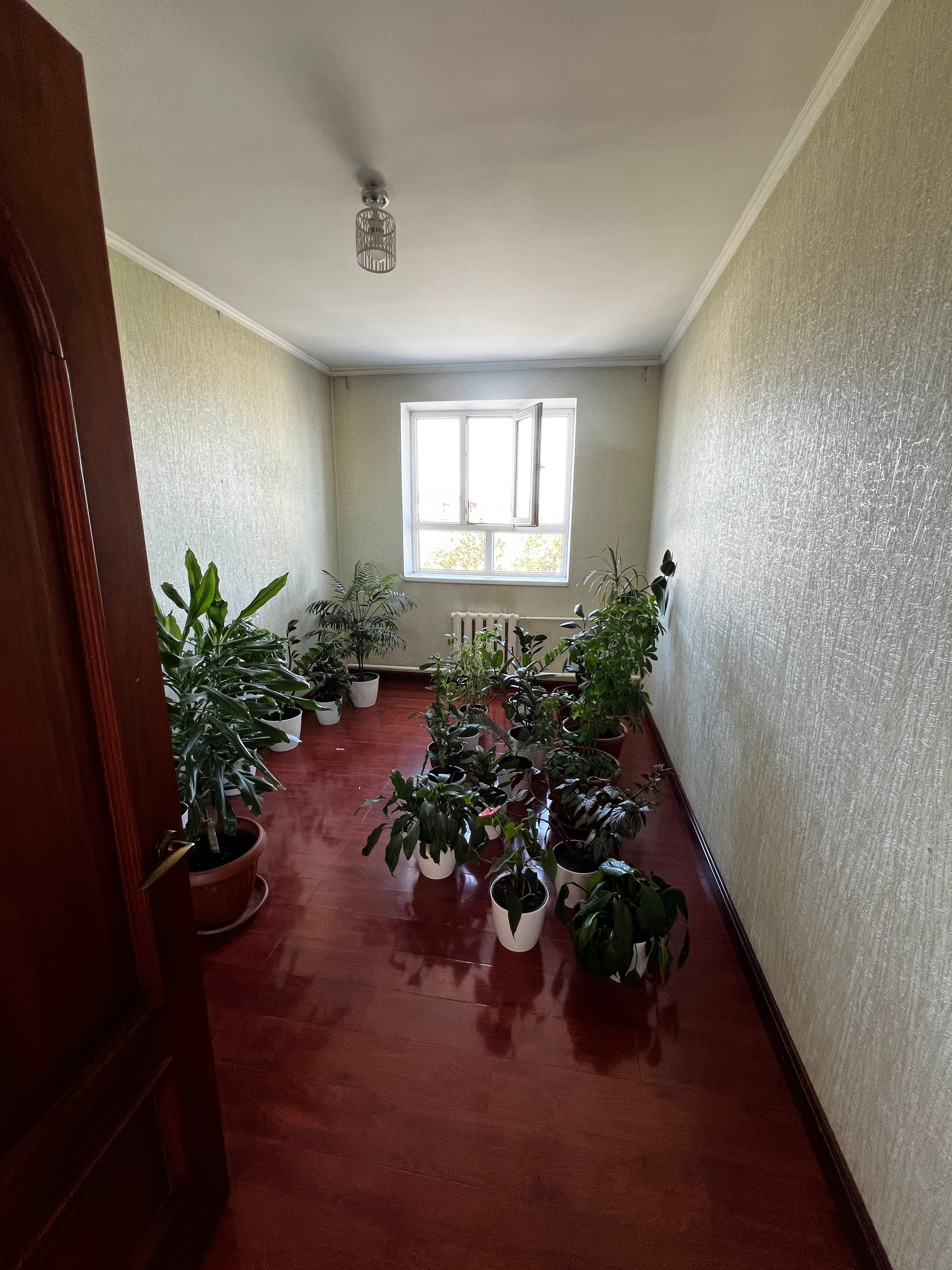 Property 100733 - Image 9