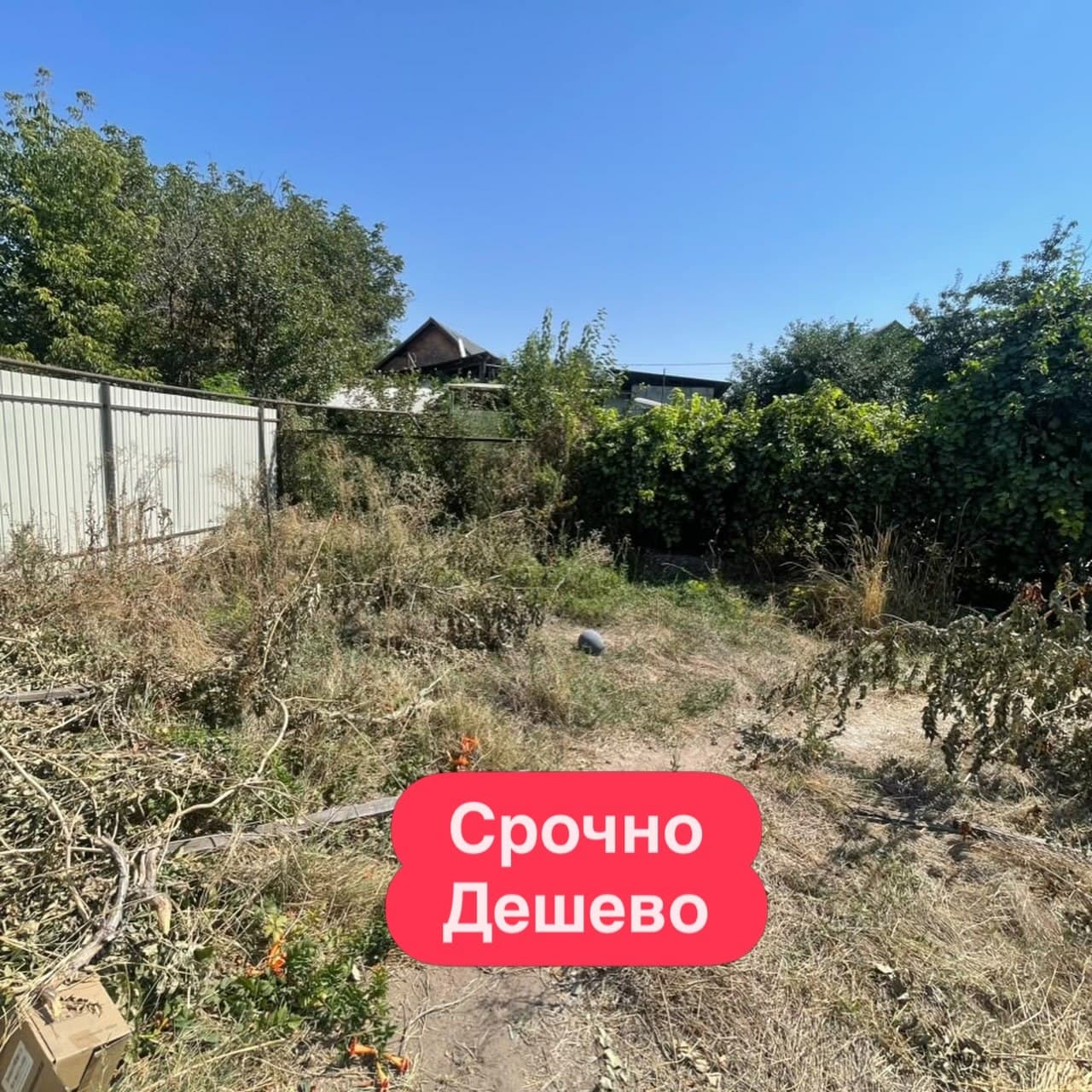 Property 100746 - Image 1