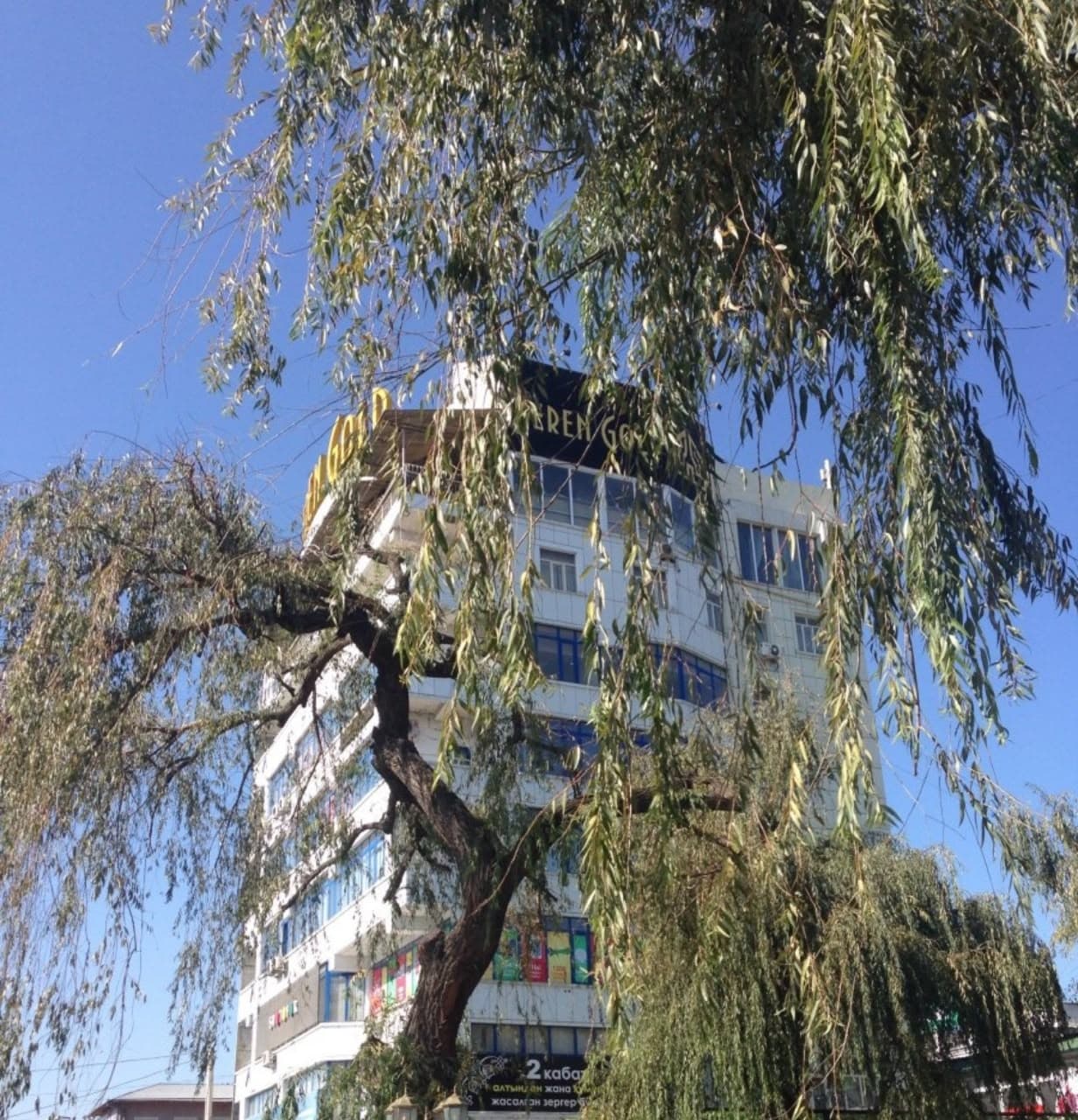 Офис, Коммерческая, 350 м2, этаж 3/8, Сост: Без ремонта - фото 3